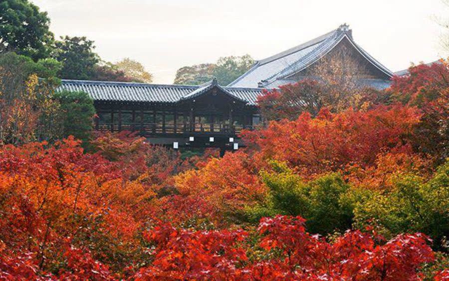 Musim Luruh Di Jepun: 7 Tips Awesome (Dan Mesra Muslim!) Untuk Percutian Terbaik Anda