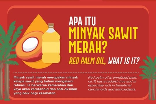 Kebaikan Minyak Kelapa Sawit Merah (Red Palm Oil)